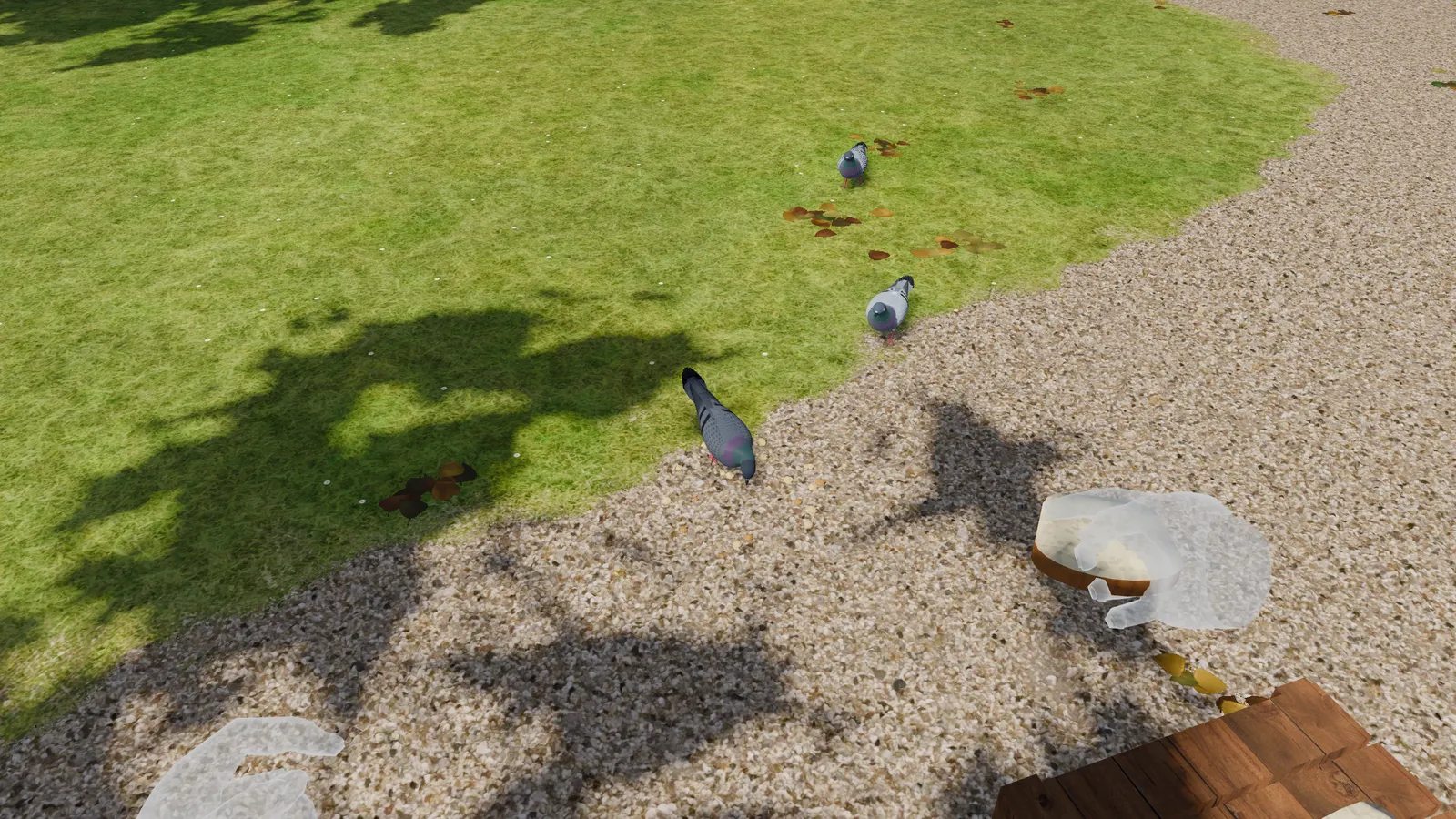Feeding pigeons from a bag of seeds in the park.