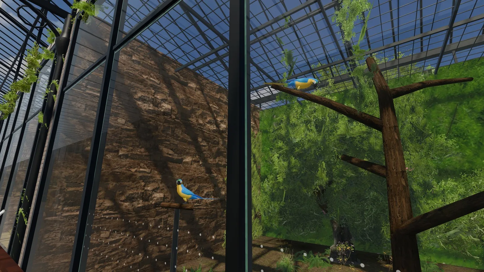 Macaws perched inside a glasshouse aviary in VR Phobia: Birds