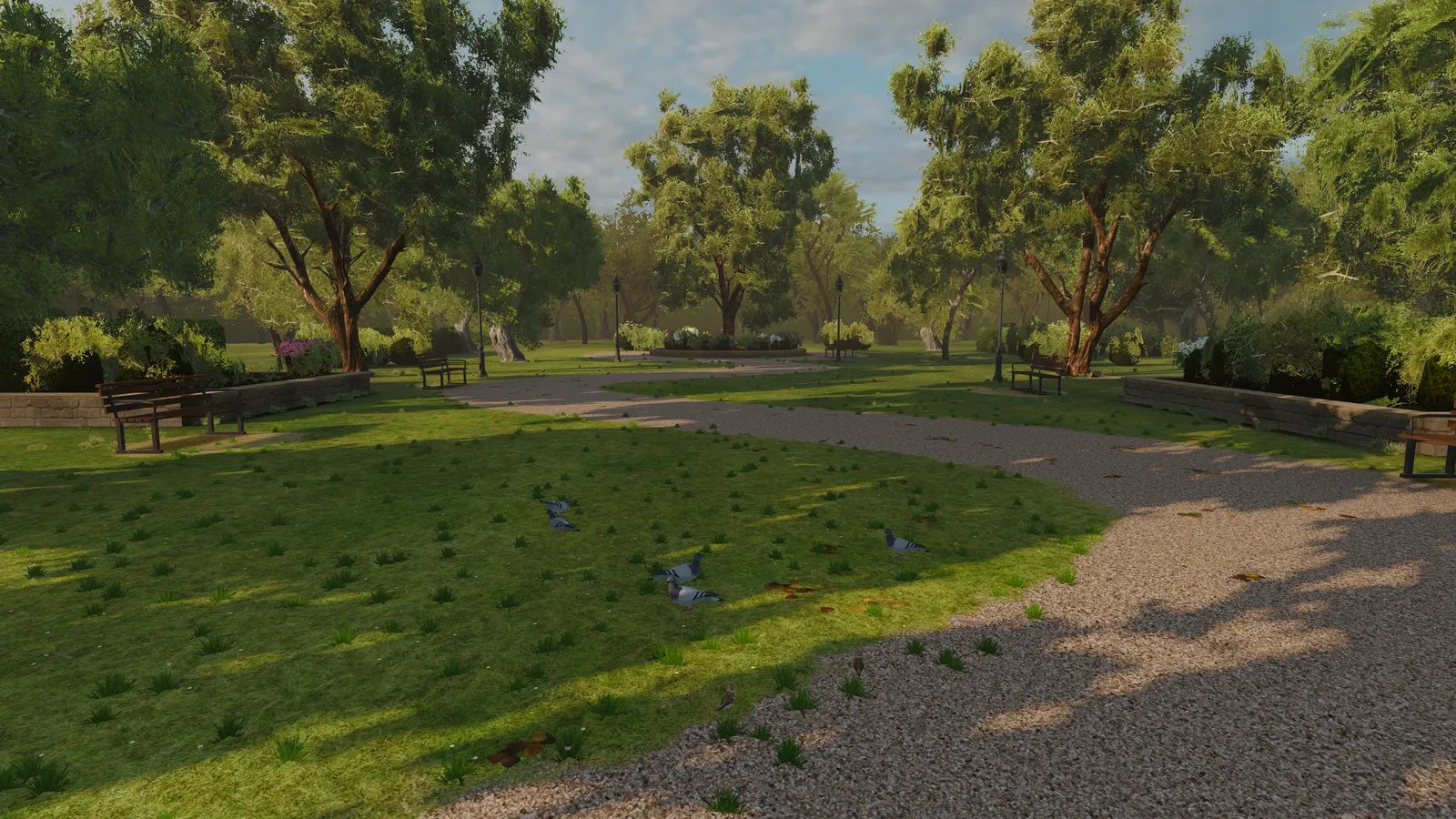 The park at golden hour, no birds close by.